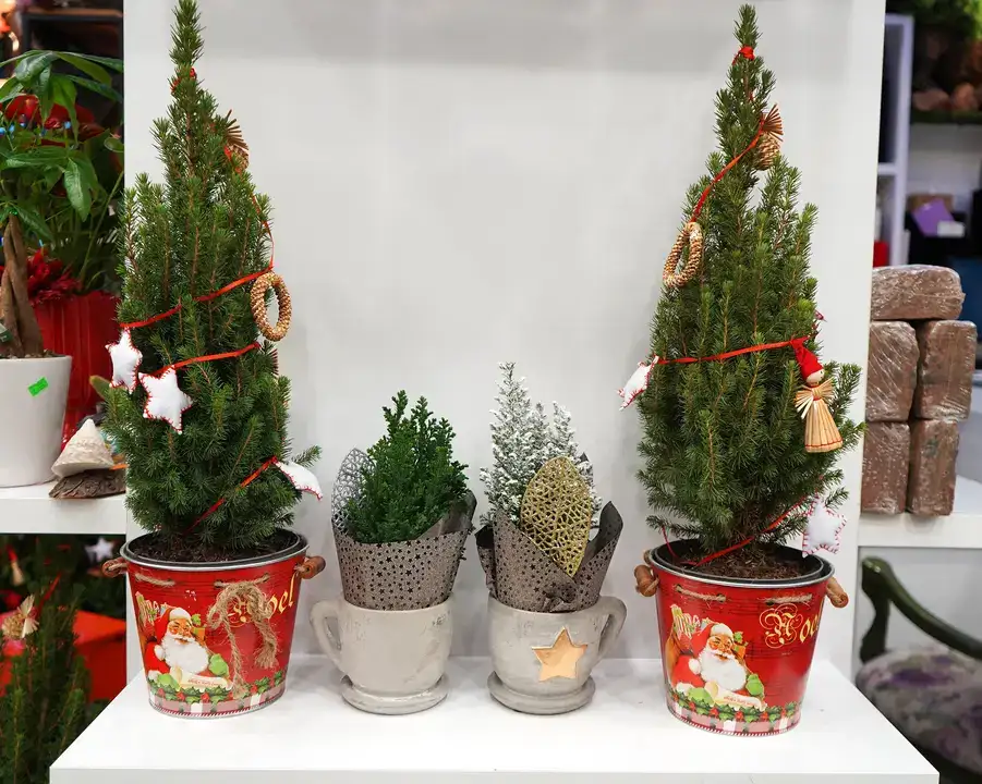 Antalya’da Yılbaşı Sepetleri 3 Bin TL’den Başlıyor 7